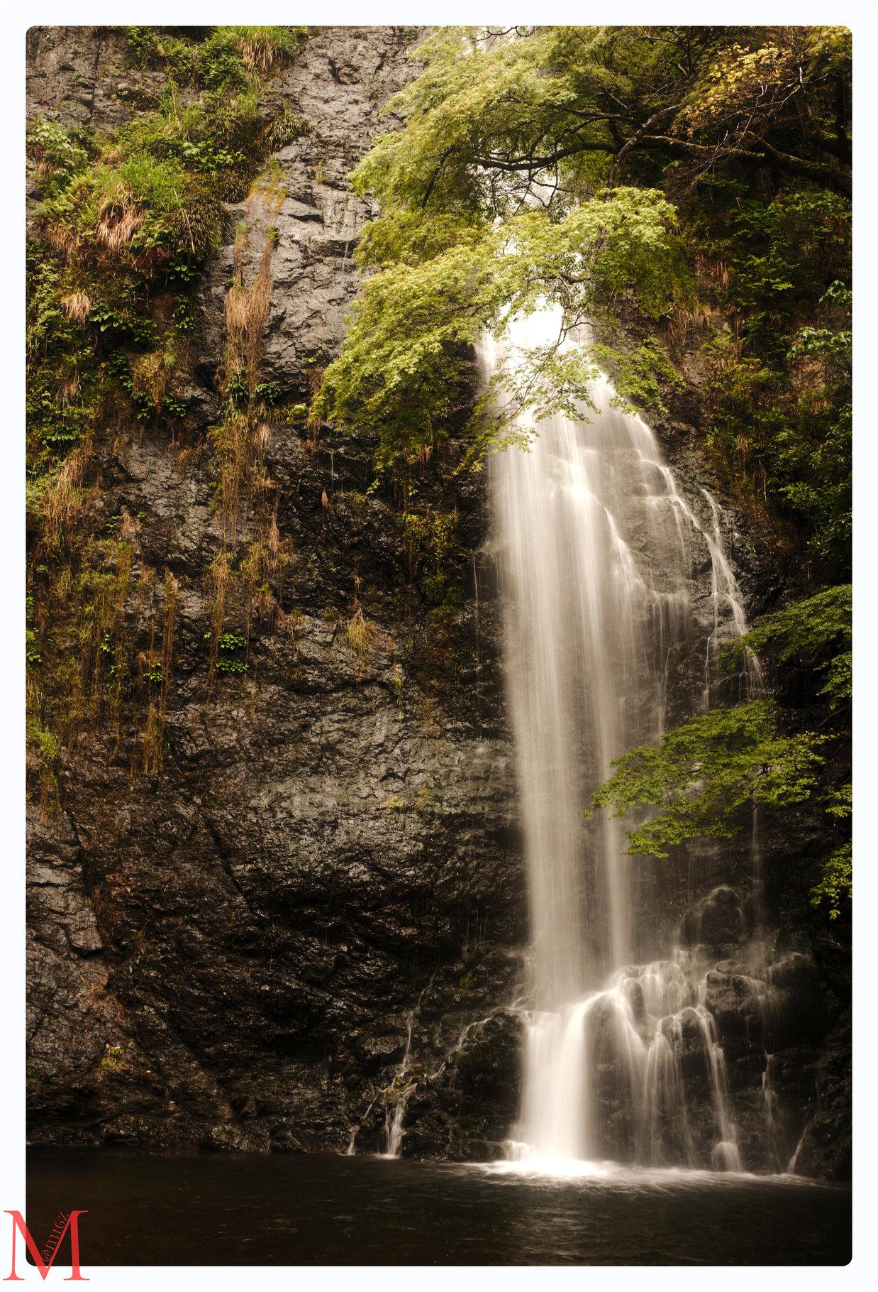 Minoo-no-taki Wasserfall.