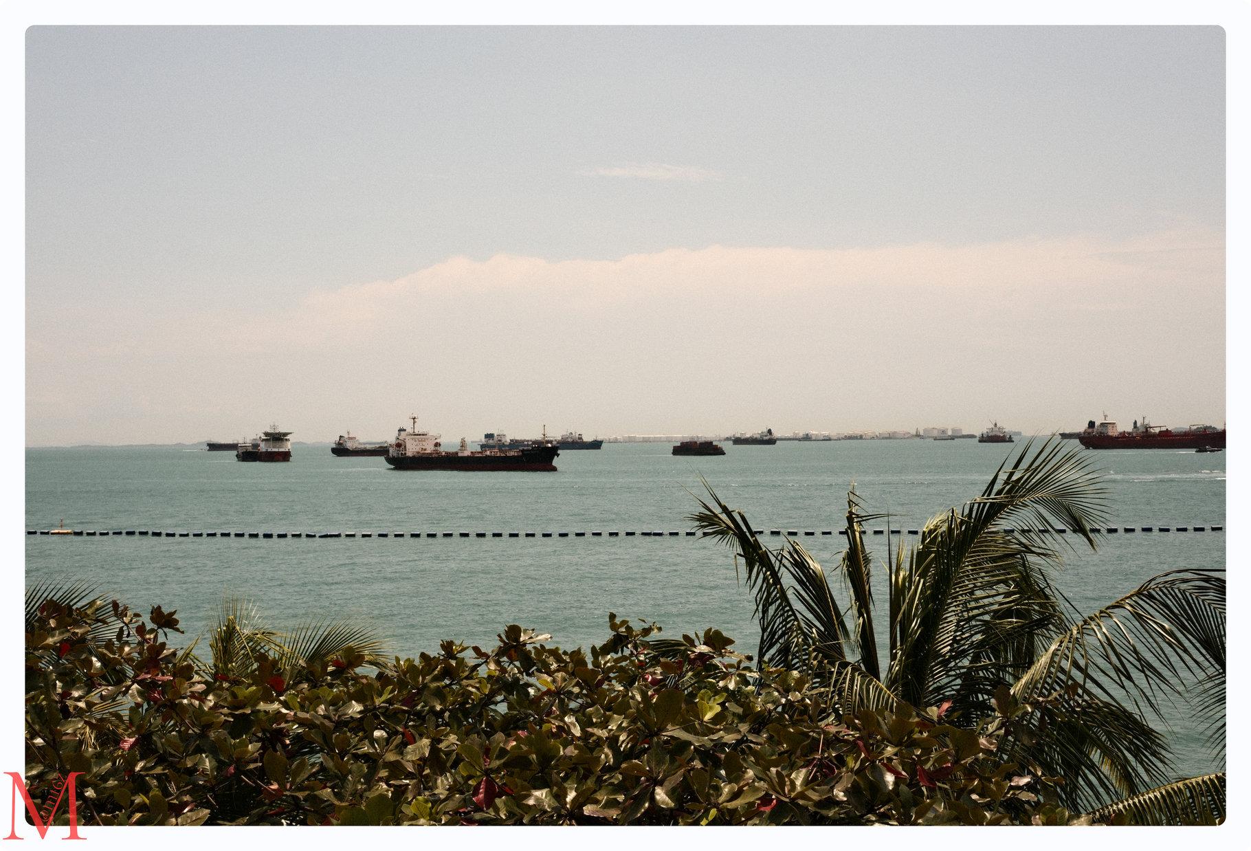 Vom Palawan Viewing Tower mit Blick auf das malerische türkisfarbene Wasser und die vor Anker liegende Flotte der globalen Schifffahrtsindustrie.