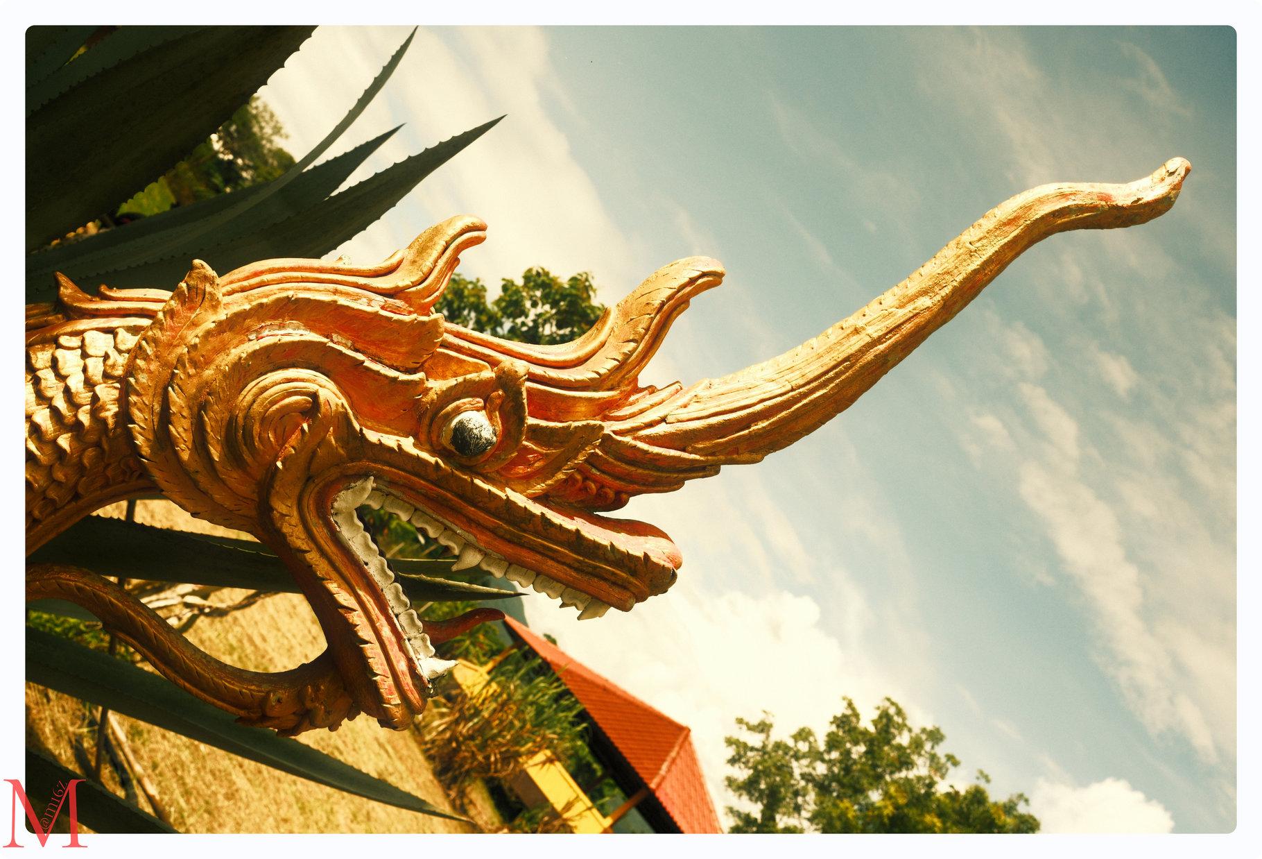 Drachenkopf am Eingang zum kleinen Tempel des Nam Yang Kung-Fu Retreat.